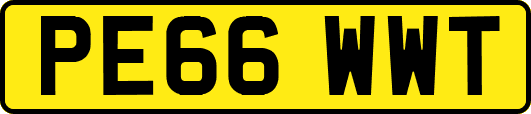 PE66WWT