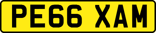 PE66XAM