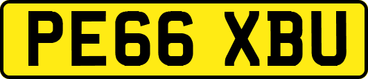 PE66XBU