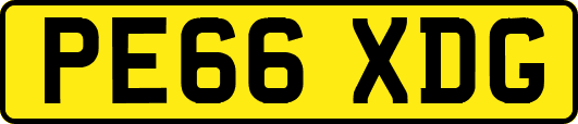 PE66XDG