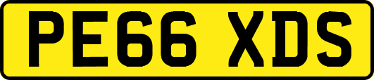 PE66XDS