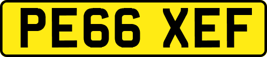 PE66XEF