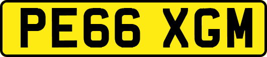 PE66XGM