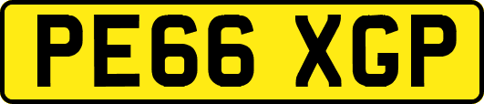 PE66XGP