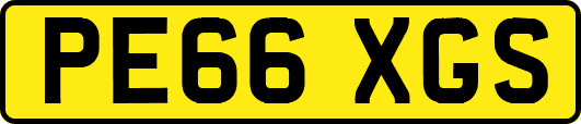 PE66XGS