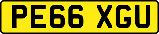 PE66XGU