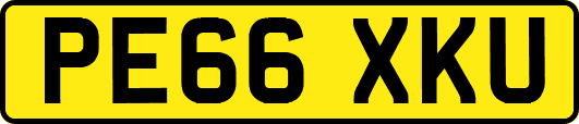 PE66XKU