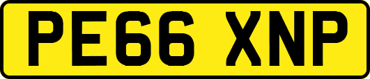 PE66XNP