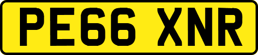 PE66XNR