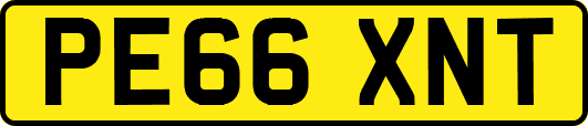 PE66XNT