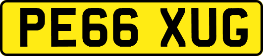 PE66XUG