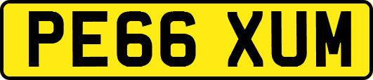 PE66XUM