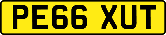 PE66XUT