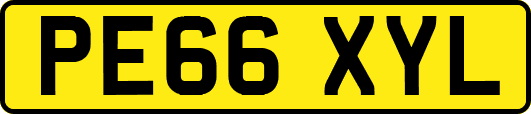 PE66XYL