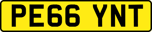 PE66YNT