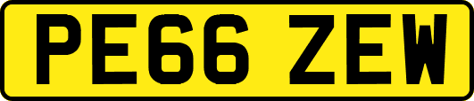 PE66ZEW