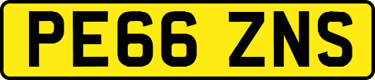 PE66ZNS