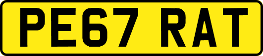 PE67RAT