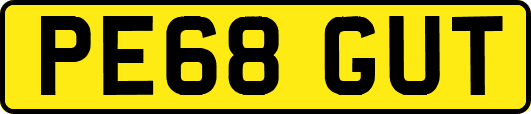 PE68GUT