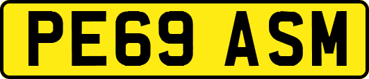 PE69ASM