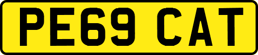 PE69CAT