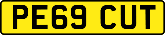 PE69CUT