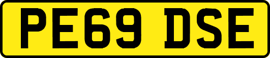 PE69DSE