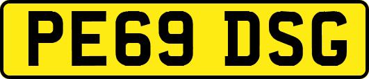 PE69DSG