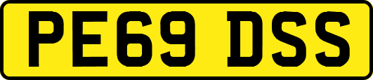 PE69DSS