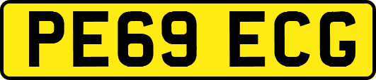 PE69ECG