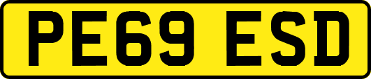 PE69ESD
