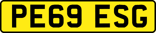 PE69ESG