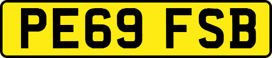 PE69FSB