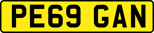 PE69GAN