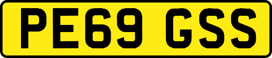 PE69GSS