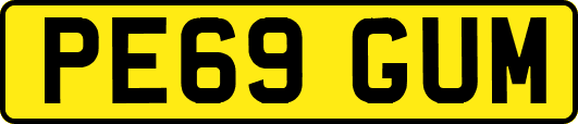 PE69GUM