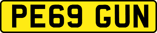 PE69GUN