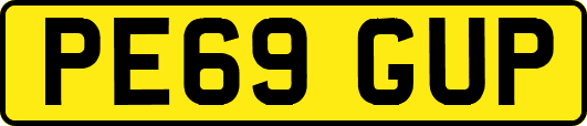 PE69GUP