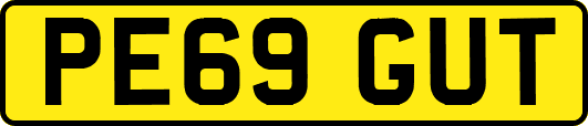 PE69GUT