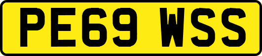 PE69WSS