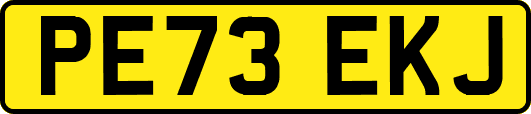 PE73EKJ