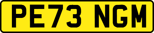 PE73NGM