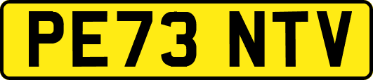 PE73NTV