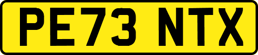 PE73NTX