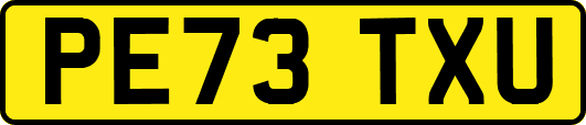 PE73TXU