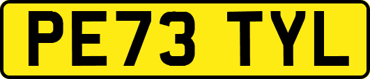 PE73TYL