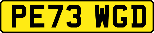 PE73WGD