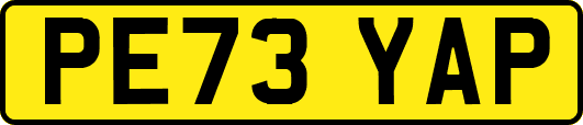PE73YAP