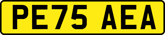 PE75AEA