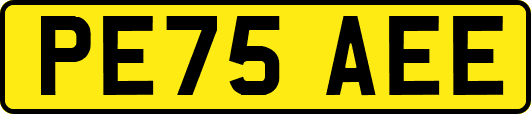 PE75AEE